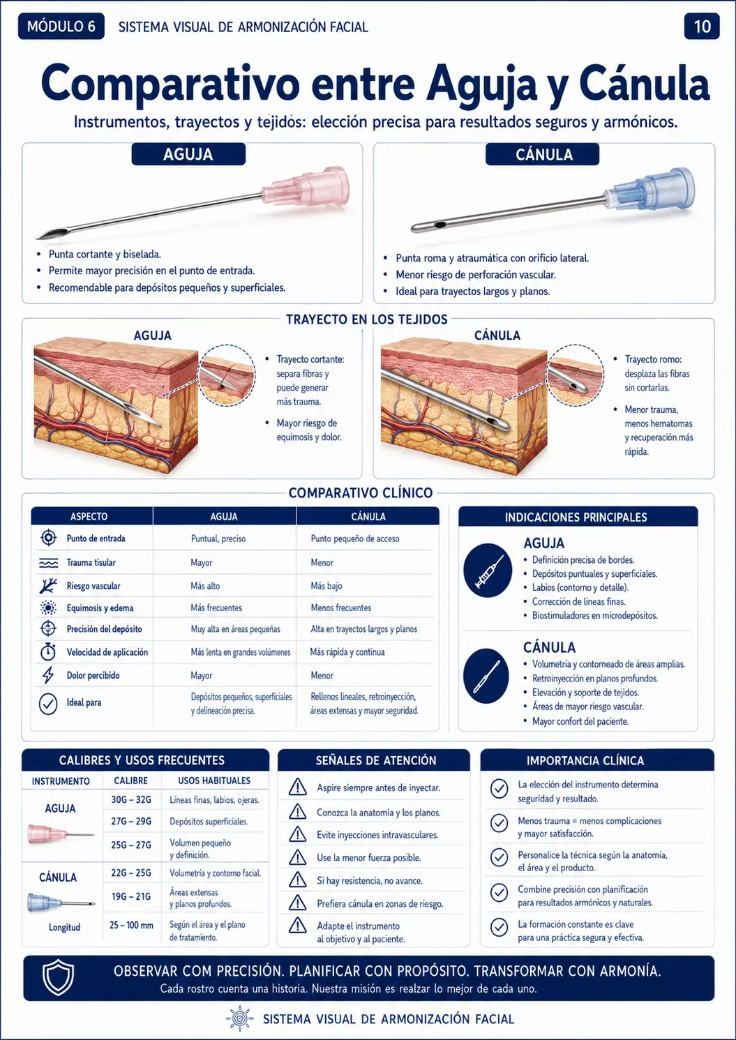 Confronto tra ago e cannula